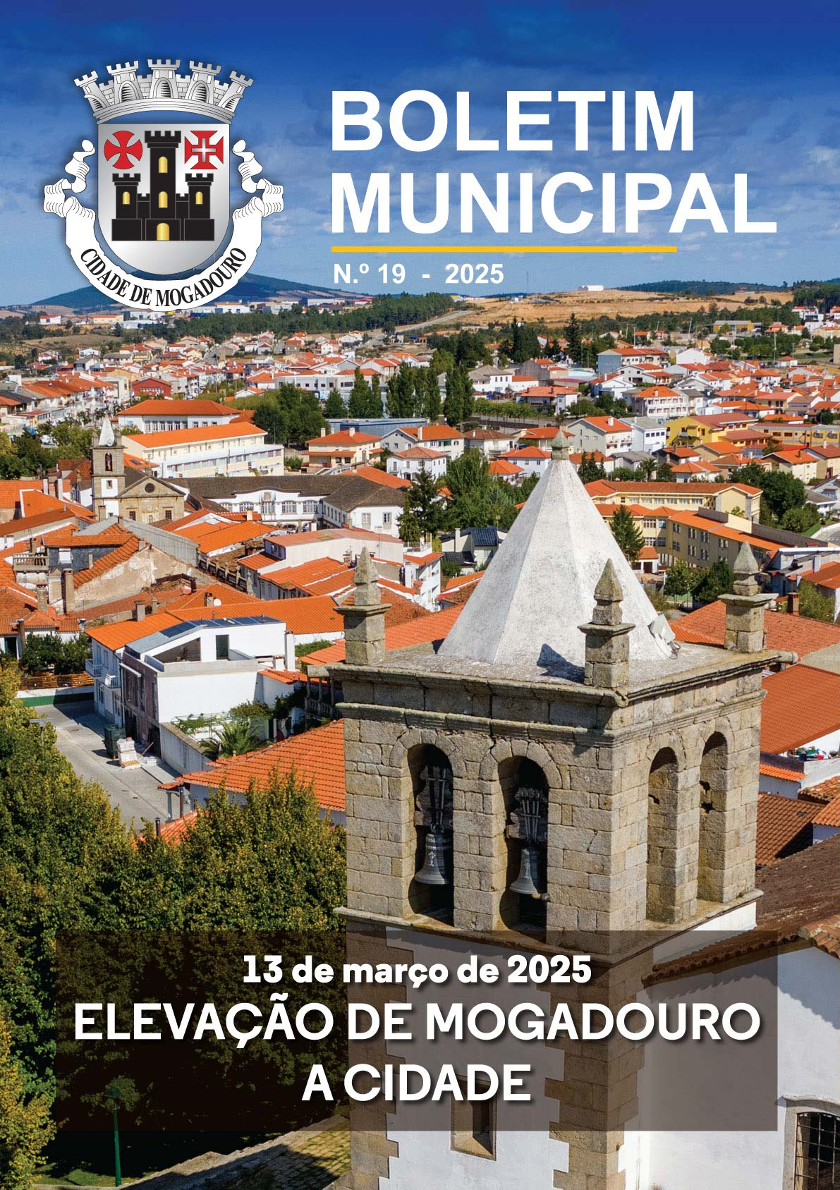 Capa de BM_19.pdf